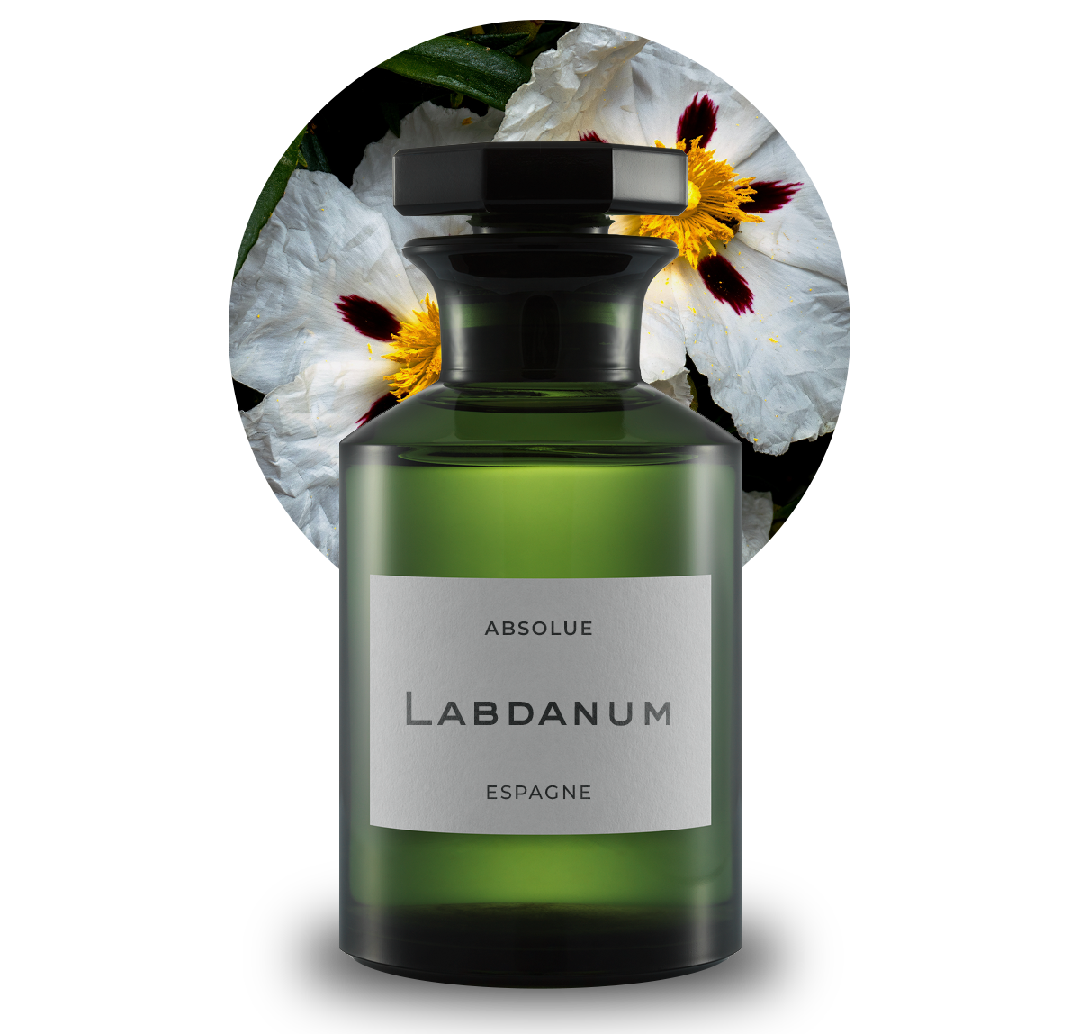LABDANUM