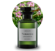 bulgarian tobacco absolute Buy Oil Nicotiana Tabacum Bulgaria Thick Leather and Smoke Aroma Masculine Dry Cigar Notes Aged Oriental Blends Pure Online in India Solvent extracted Tobacco Absolute Wholesale | Bulk