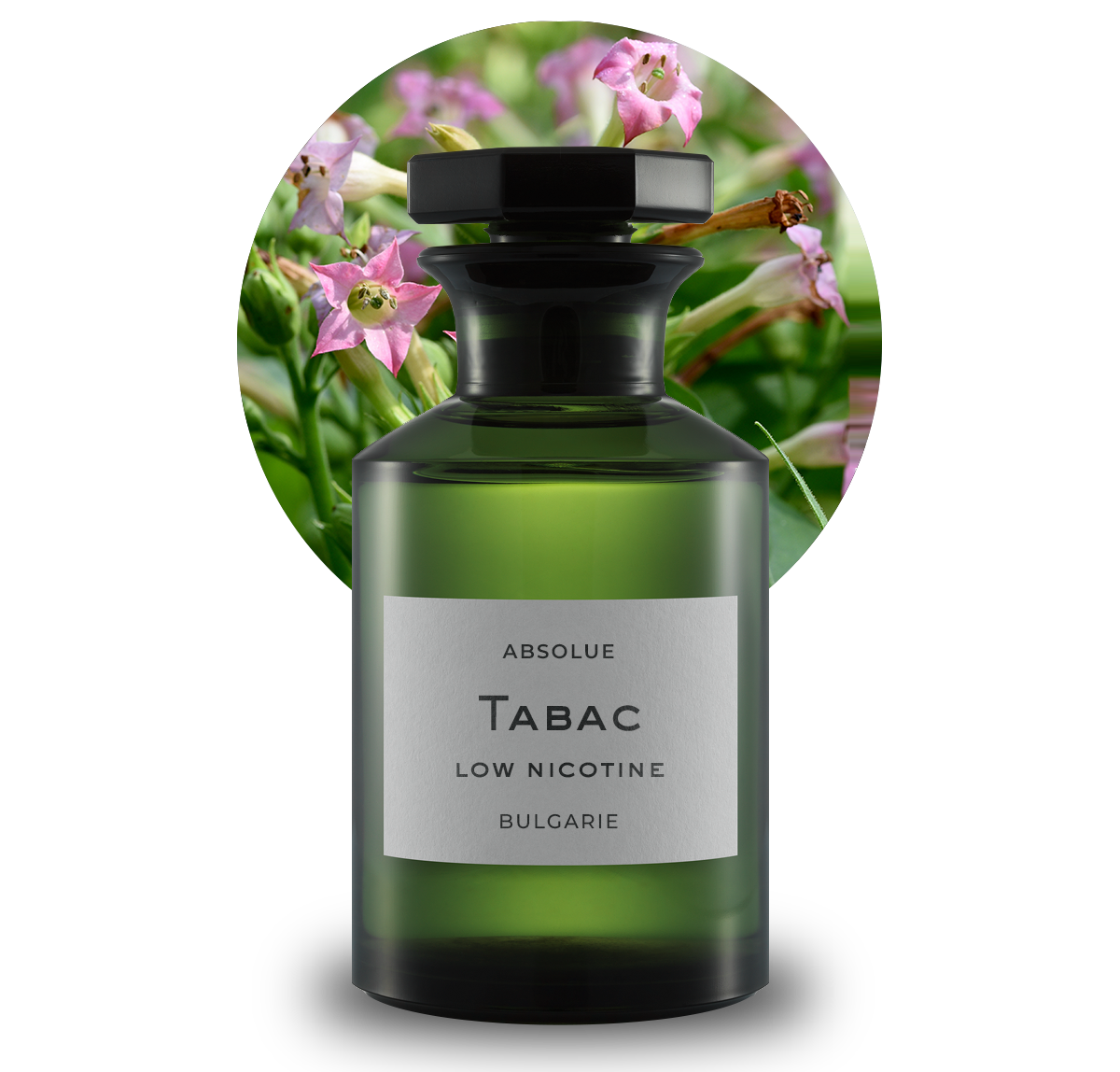 elfbar nachfll pod luft aus Guerlain Absolus Allegoria Tabac Sahara Eau de parfum