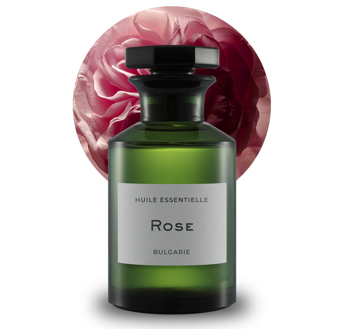 Rose HE Bulgarie