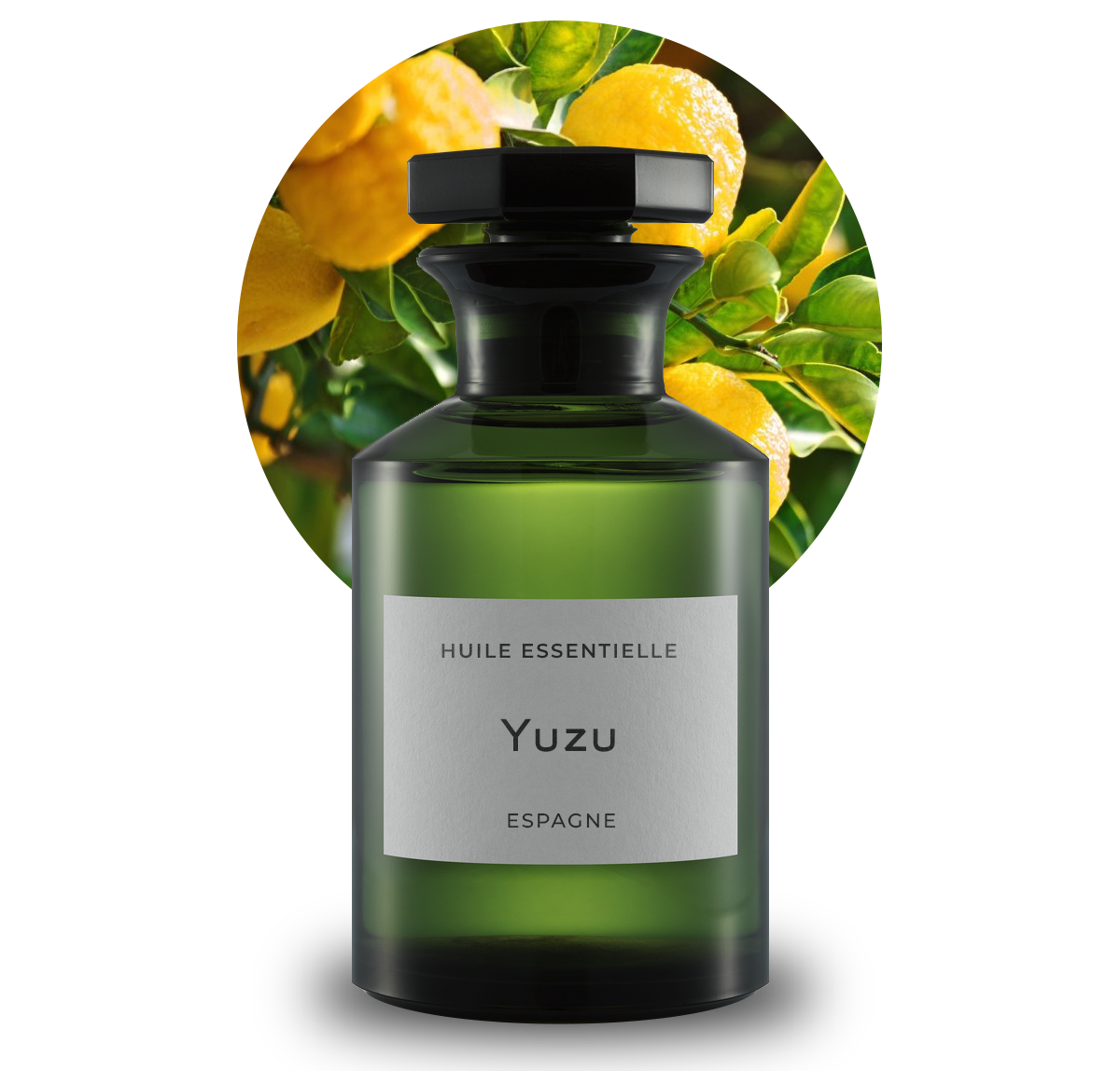 Yuzu HE