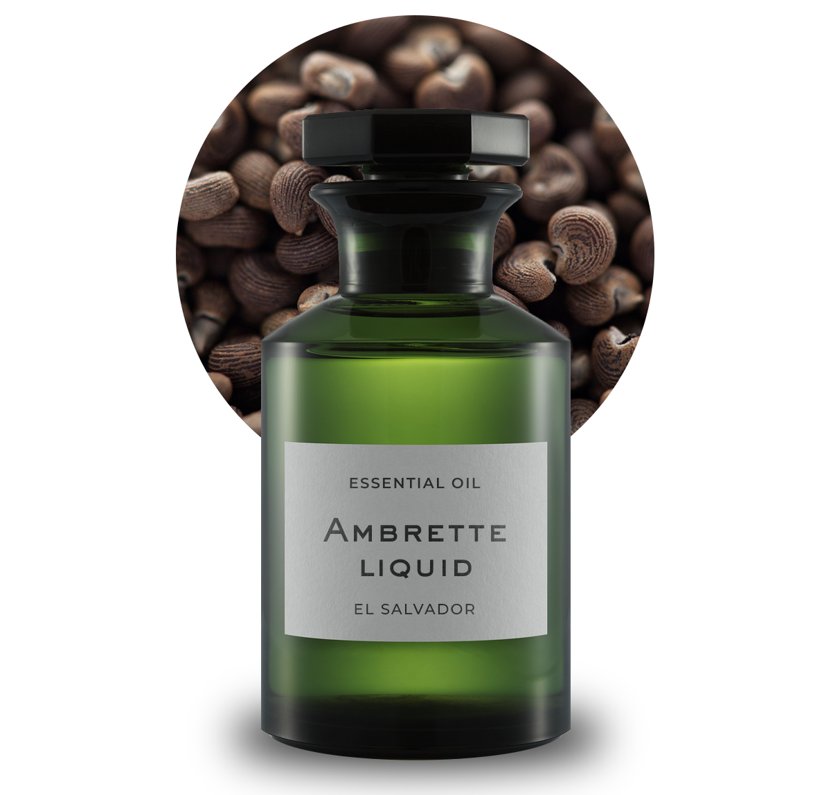 AMBRETTE